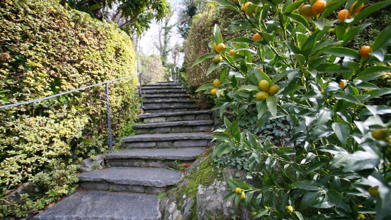 Collinetta होटल Ascona