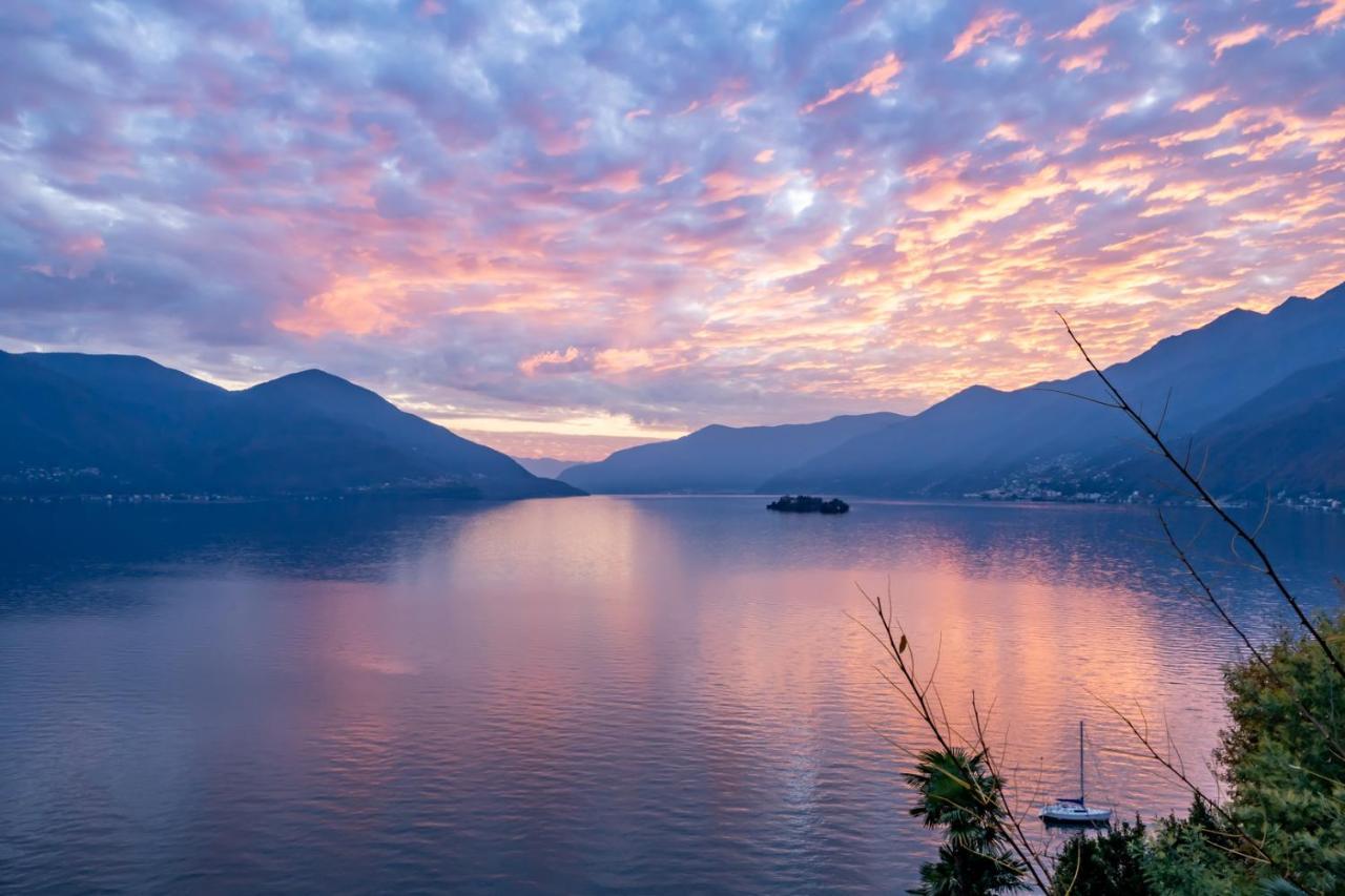 Collinetta Ascona