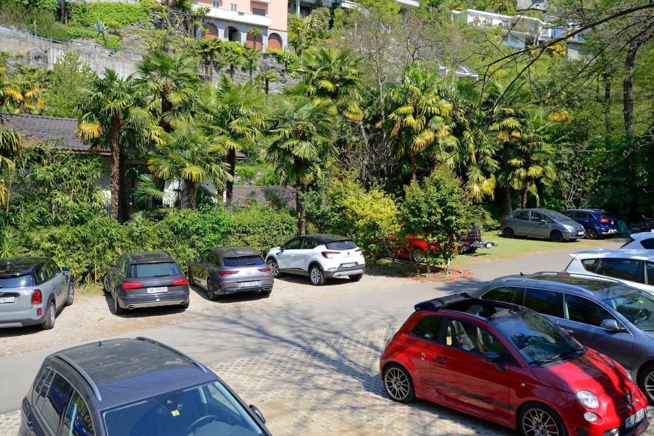 Collinetta Ascona